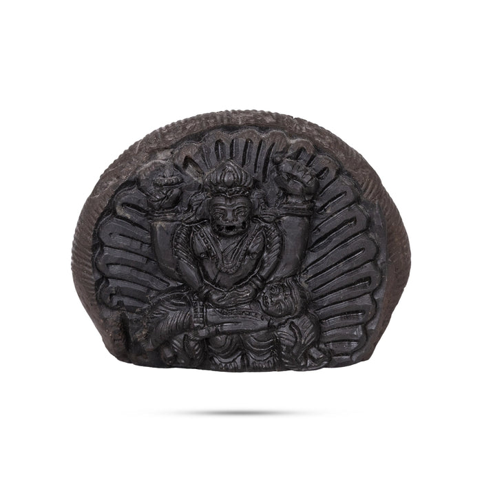 Shaligram Murti | Shaligram Idol / Stone Deity / Saligram Murti for Pooja - Saligrama Stones & Murties