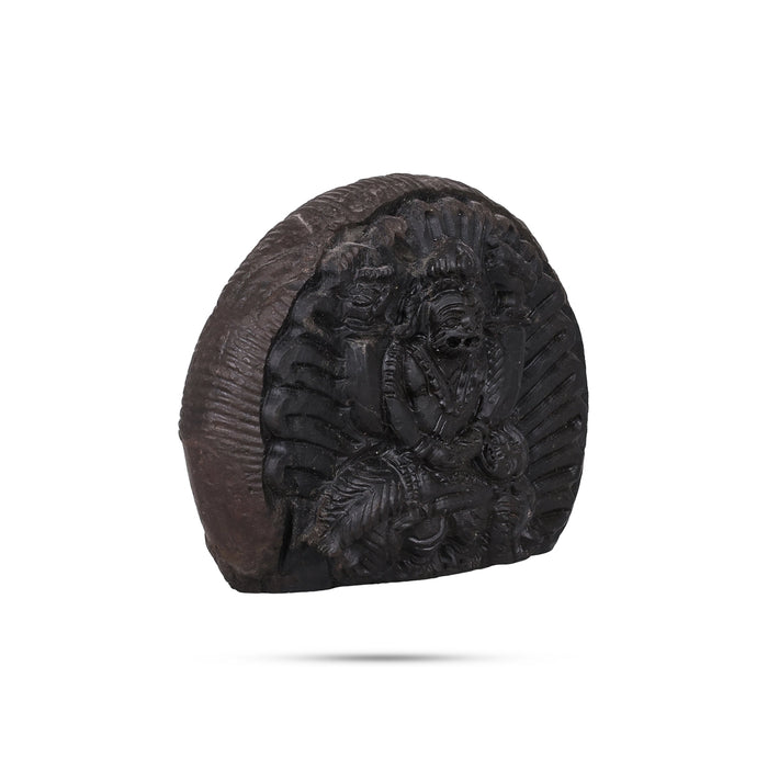 Shaligram Murti | Shaligram Idol / Stone Deity / Saligram Murti for Pooja - Saligrama Stones & Murties