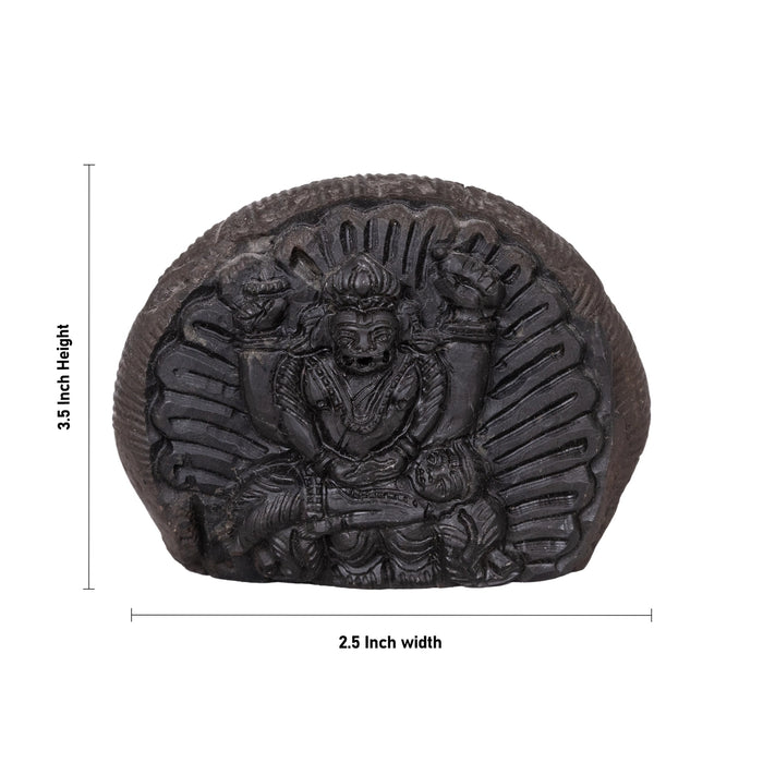 Shaligram Murti | Shaligram Idol / Stone Deity / Saligram Murti for Pooja - Saligrama Stones & Murties