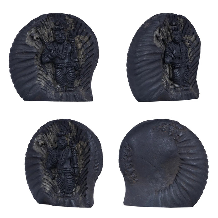 Shaligram Murti - 3.5 x 3 Inches | Shaligram God Idol | God Statue | Shaligram Stone - Saligrama Stones & Murties