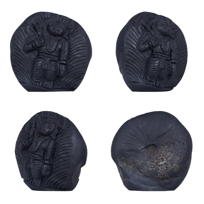 Shaligram Murti - 3.5 x 3 Inches | Shaligram God Idol | God Statue | Shaligram Stone - Saligrama Stones & Murties