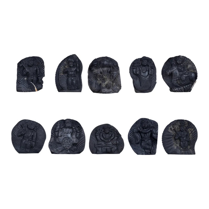 Shaligram Murti - 3.5 x 3 Inches | Shaligram God Idol | God Statue | Shaligram Stone - Saligrama Stones & Murties