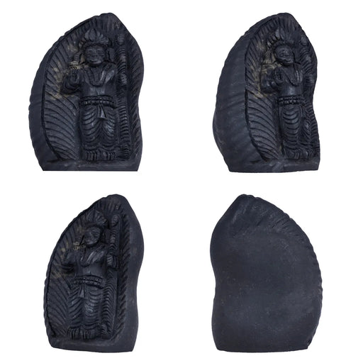 Shaligram Murti - 3.5 x 3 Inches | Shaligram God Idol | God Statue | Shaligram Stone - Saligrama Stones & Murties