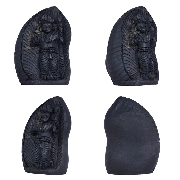 Shaligram Murti - 3.5 x 3 Inches | Shaligram God Idol | God Statue | Shaligram Stone - Saligrama Stones & Murties