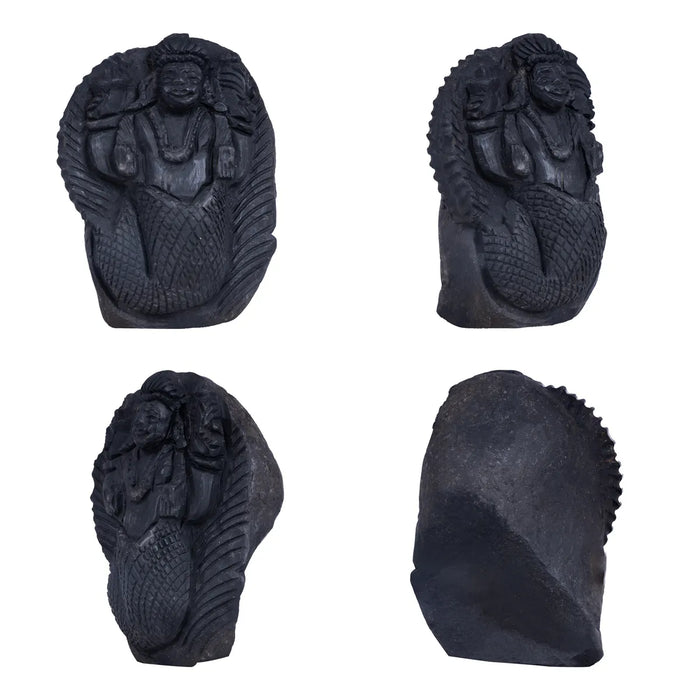 Shaligram Murti - 3.5 x 3 Inches | Shaligram God Idol | God Statue | Shaligram Stone - Saligrama Stones & Murties