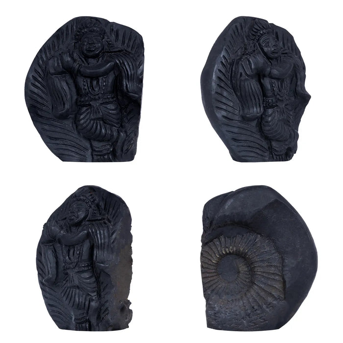 Shaligram Murti - 3.5 x 3 Inches | Shaligram God Idol | God Statue | Shaligram Stone - Saligrama Stones & Murties