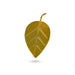 Dhana Leaf - 2 x 1 Inches | Metal Leaf/ Silver & Gold Plated Leaf for Pooja - Pooja Thali Accessories