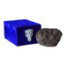 Shaligram Murti - 4 x 5.5 Inches | Shaligram God Idol / God Statue / Shaligram Statue - Saligrama Stones & Murties