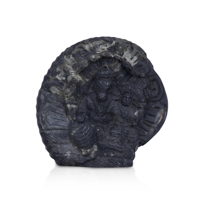 Shaligram Murti - 4 x 5.5 Inches | Shaligram God Idol / God Statue / Shaligram Statue - Saligrama Stones & Murties