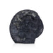 Shaligram Murti - 4 x 5.5 Inches | Shaligram God Idol / God Statue / Shaligram Statue - Saligrama Stones & Murties
