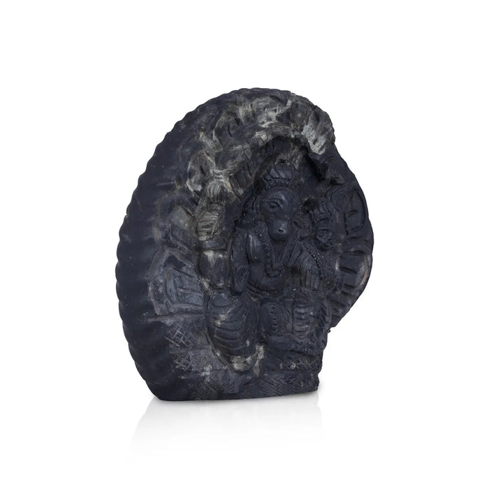 Shaligram Murti - 4 x 5.5 Inches | Shaligram God Idol / God Statue / Shaligram Statue - Saligrama Stones & Murties