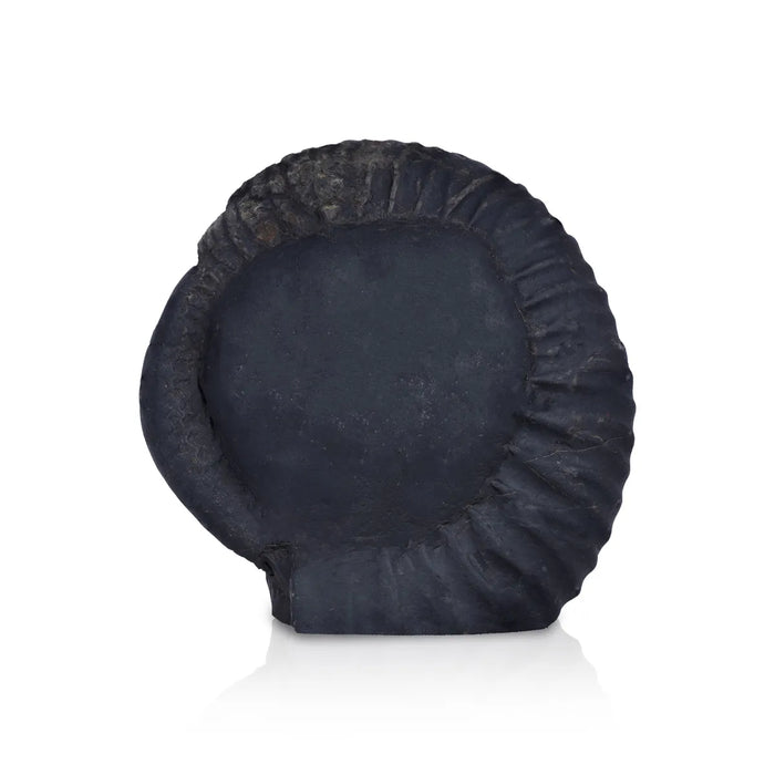 Shaligram Murti - 4 x 5.5 Inches | Shaligram God Idol / God Statue / Shaligram Statue - Saligrama Stones & Murties