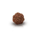 Rudraksha Beads  - 7 Face | Rudraksh Beads/ 22 mm/ Nepali Rudraksha Beads for Men & Women - Rudraksha Mala, Pendant, Bracelet