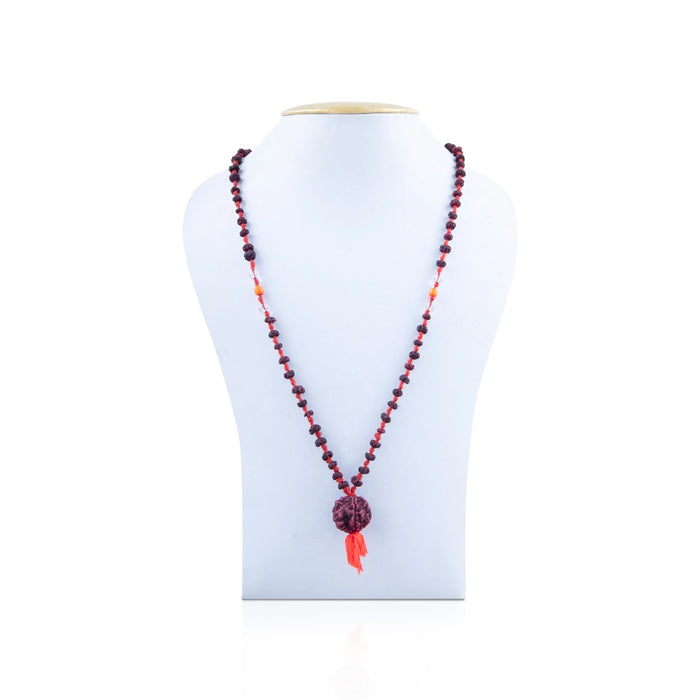 Rudraksha with Moonga Crystal Mala - 13 Inches | Moonga Mala/ Rudraksha Mala for Men & Women - Rudraksha Mala, Pendant, Bracelet