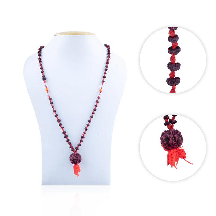 Rudraksha with Moonga Crystal Mala - 13 Inches | Moonga Mala/ Rudraksha Mala for Men & Women - Rudraksha Mala, Pendant, Bracelet