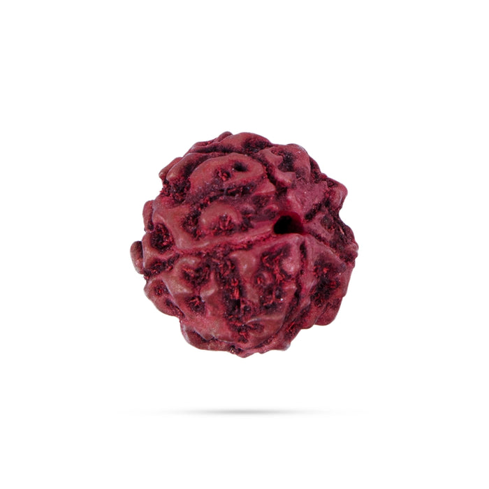 5 Face Rudraksha Beads | 5 Mukhi Rudraksh Beads/ Five Mukhi Ruthracham Beads for Men & Women - Rudraksha Mala, Pendant, Bracelet