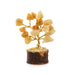 Gem Tree Set - 2 x 1 Inches | 12 Pcs/ Crystal Tree for Vastu - Table Stand Accessories