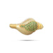 Gold Polish Shankh - 1 x 1.5 Inches | Stone Design Conch/ Sangu for Deity Decor - Pooja Shankh