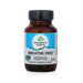 Organic India Breathe Free - 60 Pcs - Ayurvedic Mix
