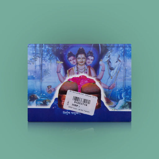 Sri Gurucharitra - Adhyay 14 Va - Hindi | Biographical Book/ Hindu Religious Book For Devotional Reading - Prayers Hymns Stotras