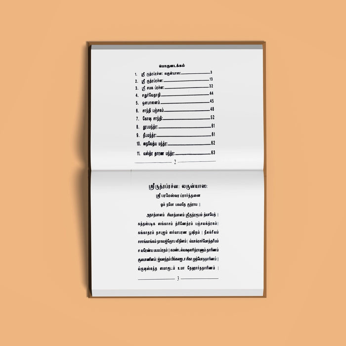 Sri Rudram Chamakam - Tamil | Vedas Book/ Hindu Religious Book - Veda / Vedic Prayer / Vedic Ritual