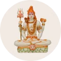 Maha Shivaratri Collections
