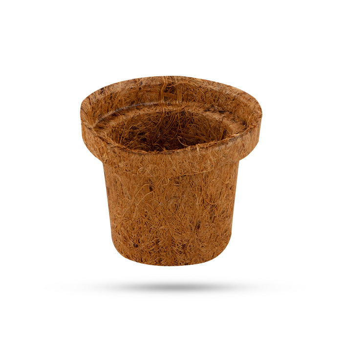 Coco Seedling Cup - 2 Inches | 10 Pcs Set/ Coir Pot/ Coco Pot/ Coir Plant Pot