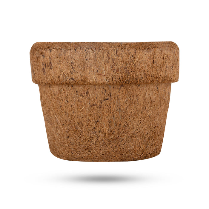 Coco Pot | 2 Pcs/ Coir Pot/ Coir Plant Pot