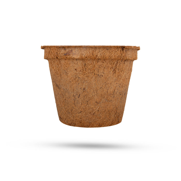 Coco Pot | 1 Pcs/ Coir Pot/ Coir Plant Pot
