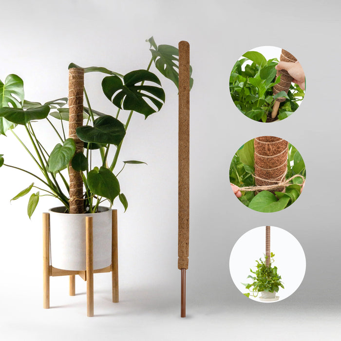 Coco Pole | Coco Peat/ Coir Stick/ Cocopeat for Plants