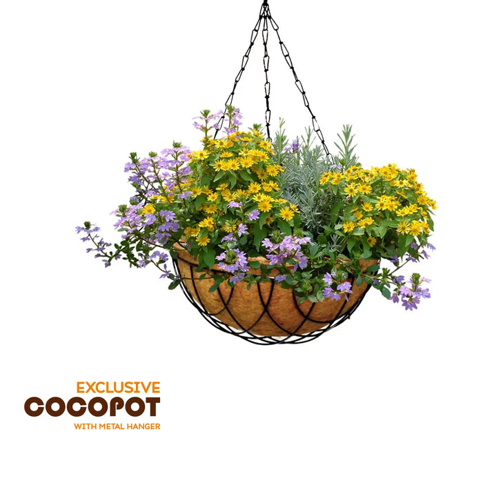 Coco Pot with Metal Hanger | Coir Pot/ Coir Plant Pot