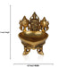 Agal Vilakku - 5 Inches | Balaji Shank Chakra Deep/ Brass Lamp for Pooja/ 1.280 Kgs Approx - Karthik Deep