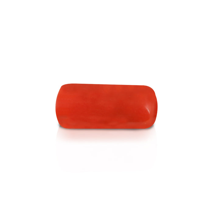 Coral Bead | Moonga Stone/ Red Coral
