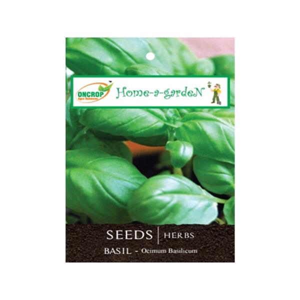 Basil Gardening Herbs Ocimum Basilicum Sabja Gardening