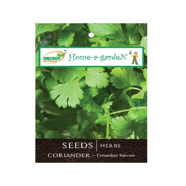 Coriander Gardening | Herbs | Coriandum Sativum | Cilantro