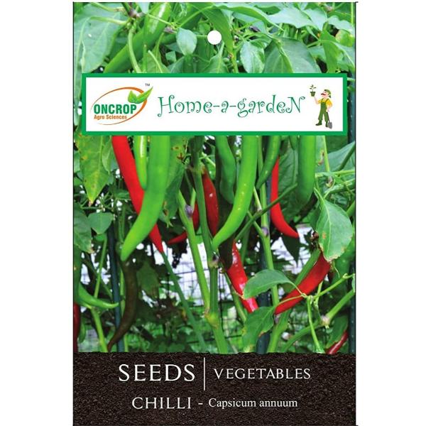 Chilli Gardening | Vegetables | Capsicum Annuum