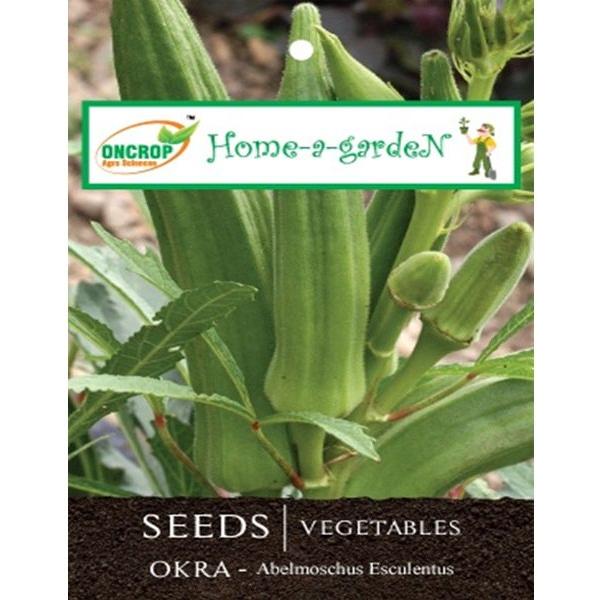 Okra Gardening | Vegetables | Abelmoschus Esculentus | Ladyâ€™s Finger or Bhendi