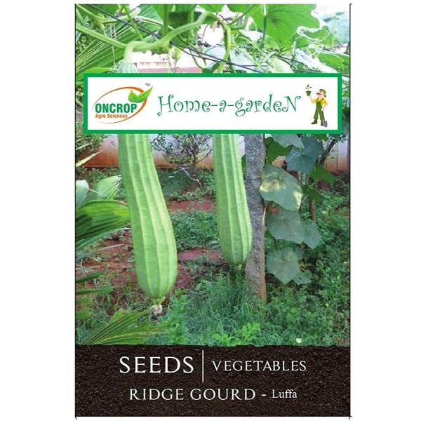 Kishan Sagar Improved Ridge Gourd Vegetable Seeds Online