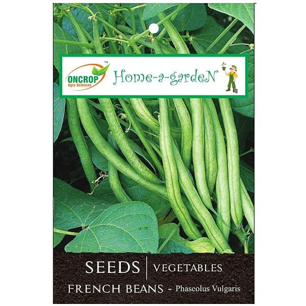 French Beans Gardening - 15 Gms | Vegetables | Phaseolus Vulgaris | String Bean